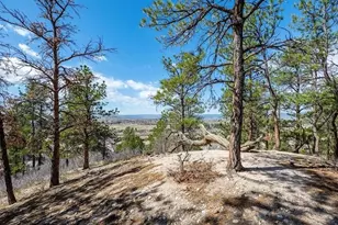 655 Ruby Trust Dr, Castle Rock, CO 80108 - Photo 14