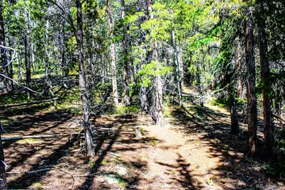 4 Roosevelt Ridge, Black Hawk, CO 80422 - Photo 22