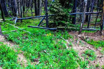 4 Roosevelt Ridge, Black Hawk, CO 80422 - Photo 16
