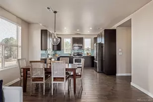 8228 E 24th Dr, Denver, CO 80238 - Photo 10