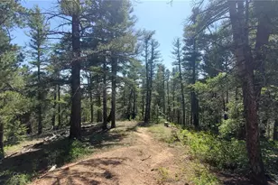 Lot 6764 Kerrigan Rd, Fort Garland, CO 81133 - Photo 1