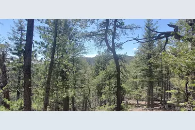 Lot 6764 Kerrigan Road, Fort Garland, CO 81133 - Photo 4