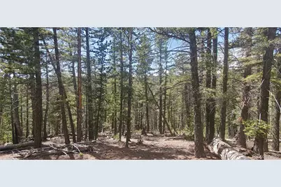 Lot 6764 Kerrigan Road, Fort Garland, CO 81133 - Photo 2