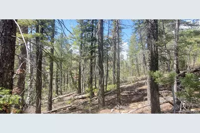 Lot 6764 Kerrigan Road, Fort Garland, CO 81133 - Photo 6