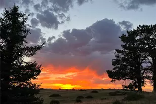 6987 Ashley Ct, Parker, CO 80134 - Photo 26