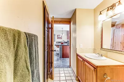 29 S Oak Street, Alma, CO 80420 - Photo 32