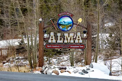 29 S Oak Street, Alma, CO 80420 - Photo 38