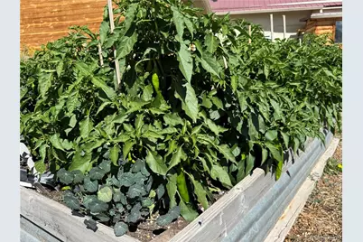 34562 State Highway 17, Antonito, CO 81120 - Photo 24