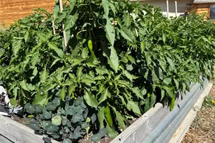 34562 State Hwy 17, Antonito, CO 81120 - Photo 24