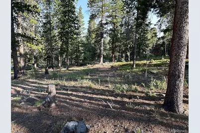 Mountain Meadows, Black Hawk, CO 80422 - Photo 24