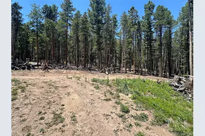 Mountain Meadows, Black Hawk, CO 80422 - Photo 28