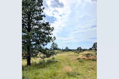 11634 Bell Cross Circle, Parker, CO 80138 - Photo 10