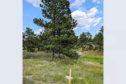 11634 Bell Cross Circle, Parker, CO 80138 - Photo 6