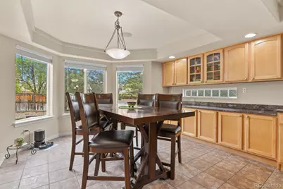10081 Charissglen Lane, Highlands Ranch, CO 80126 - Photo 10