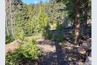 11698 Nichols Way, Conifer, CO 80433 - Photo 10