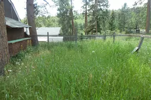 28688 Aspen Dr, Conifer, CO 80433 - Photo 20