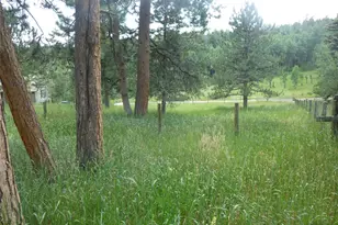 28688 Aspen Dr, Conifer, CO 80433 - Photo 10