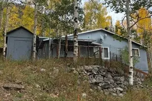 6311 US Hwy 40, Empire, CO 80438 - Photo 1