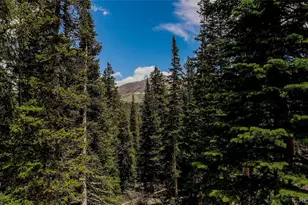 328 Quandary View Dr, Breckenridge, CO 80424 - Photo 8