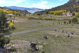 60 Pawnee Path, Lake George, CO 80827 - Photo 30