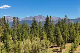 11 Gcr 5001, Fraser, CO 80442 - Photo 50
