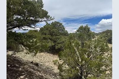 Cl&g 29 Dd, Gardner, CO 81040 - Photo 6