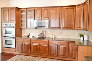 7304 Sapphire Pointe Blvd, Castle Rock, CO 80108 - Photo 10