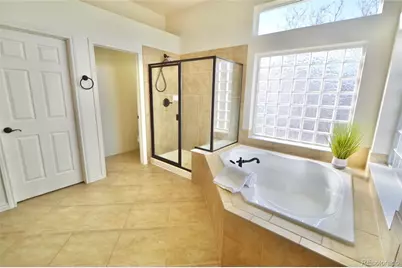 7304 Sapphire Pointe Boulevard, Castle Rock, CO 80108 - Photo 20