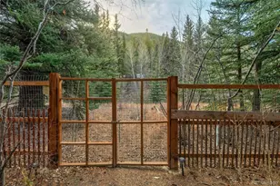 49756 Hwy 285, Grant, CO 80448 - Photo 26