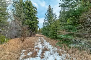 49756 Hwy 285, Grant, CO 80448 - Photo 28