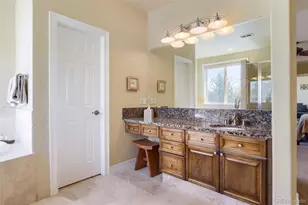 9969 Longview Dr, Lone Tree, CO 80124 - Photo 28