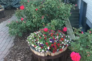 2825 Masters Ln, Castle Rock, CO 80104 - Photo 44