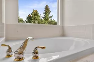 6756 Solana Dr, Castle Pines, CO 80108 - Photo 18