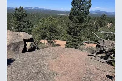 2356 N Mountain Estates Road, Florissant, CO 80816 - Photo 28