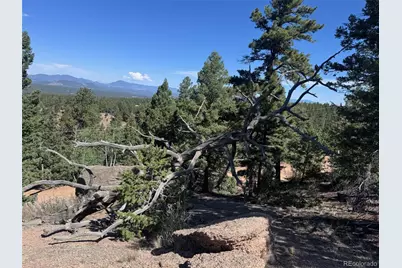 2356 N Mountain Estates Road, Florissant, CO 80816 - Photo 42