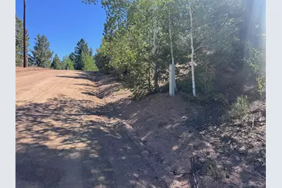 2356 N Mountain Estates Road, Florissant, CO 80816 - Photo 32