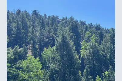 2356 N Mountain Estates Road, Florissant, CO 80816 - Photo 38