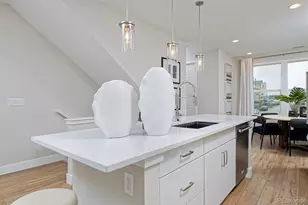 3263 W Frances Walsh Pl, Denver, CO 80236 - Photo 4