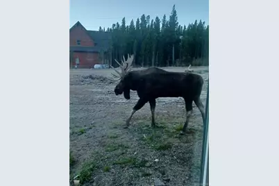 499 Silver Creek Road, Idaho Springs, CO 80452 - Photo 38