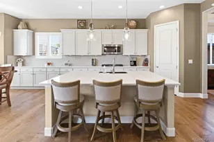 7005 Leilani Dr, Castle Rock, CO 80108 - Photo 8