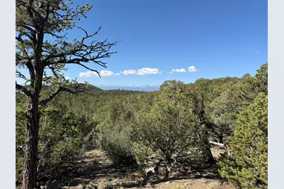 20 Molly Lane, Cotopaxi, CO 81223 - Photo 22