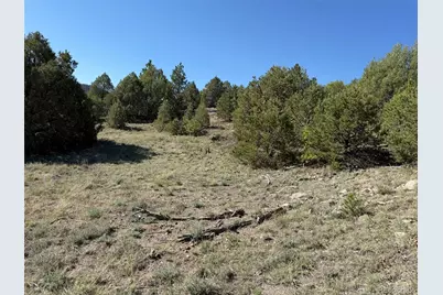 20 Molly Lane, Cotopaxi, CO 81223 - Photo 26