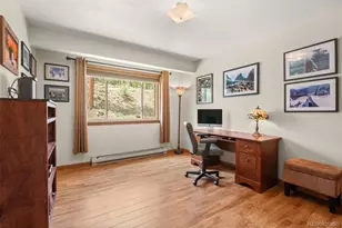 181 Catamount Ridge Rd, Bailey, CO 80421 - Photo 30