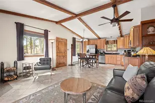 181 Catamount Ridge Rd, Bailey, CO 80421 - Photo 18