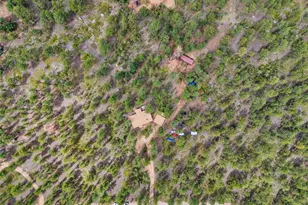 1525 Vigilante Ave, Bailey, CO 80421 - Photo 16