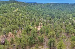 1525 Vigilante Ave, Bailey, CO 80421 - Photo 18