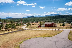 175 Blackbird Dr, Bailey, CO 80421 - Photo 38