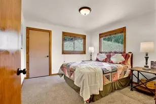 2399 Co Rd 6, Alma, CO 80420 - Photo 24