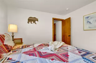 2399 Co Rd 6, Alma, CO 80420 - Photo 44