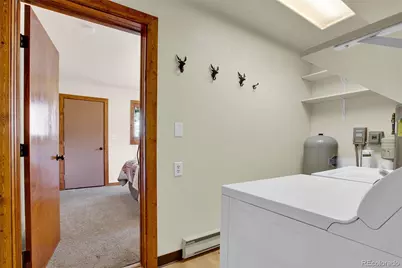 2399 Co Rd 6, Alma, CO 80420 - Photo 46